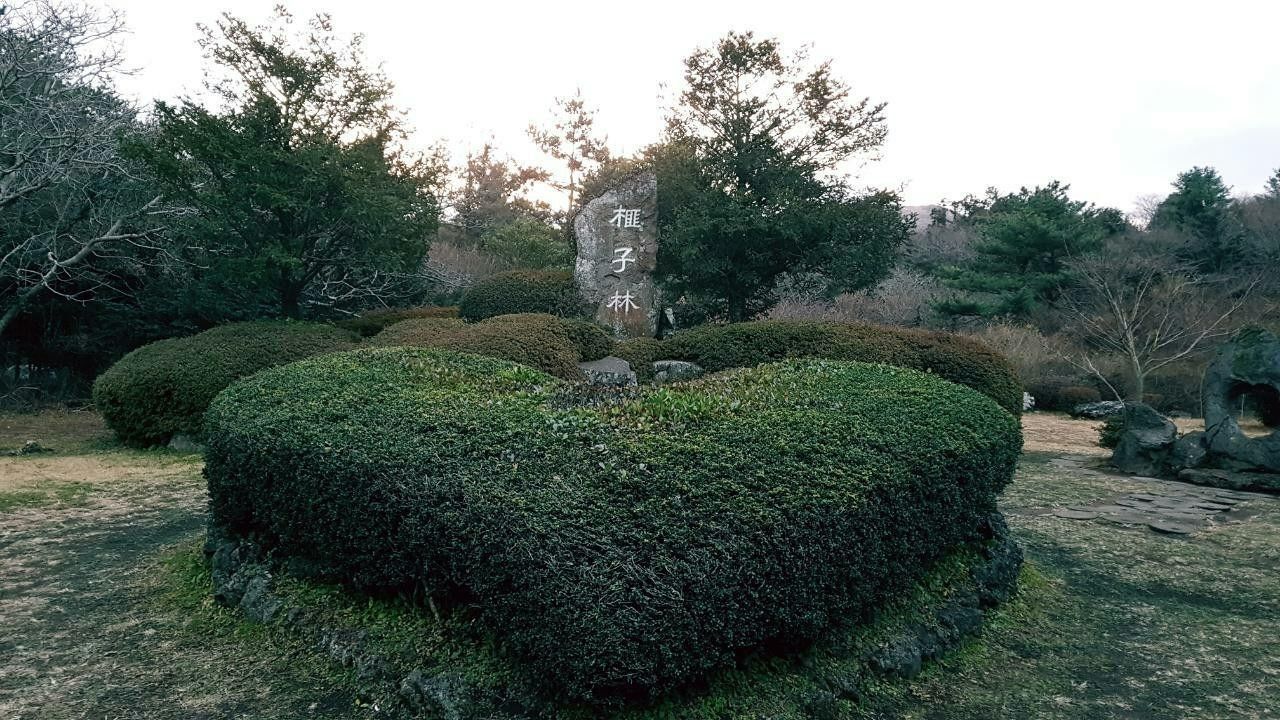 A well-maintained garden with neatly trimmed hedges and a stone monument.