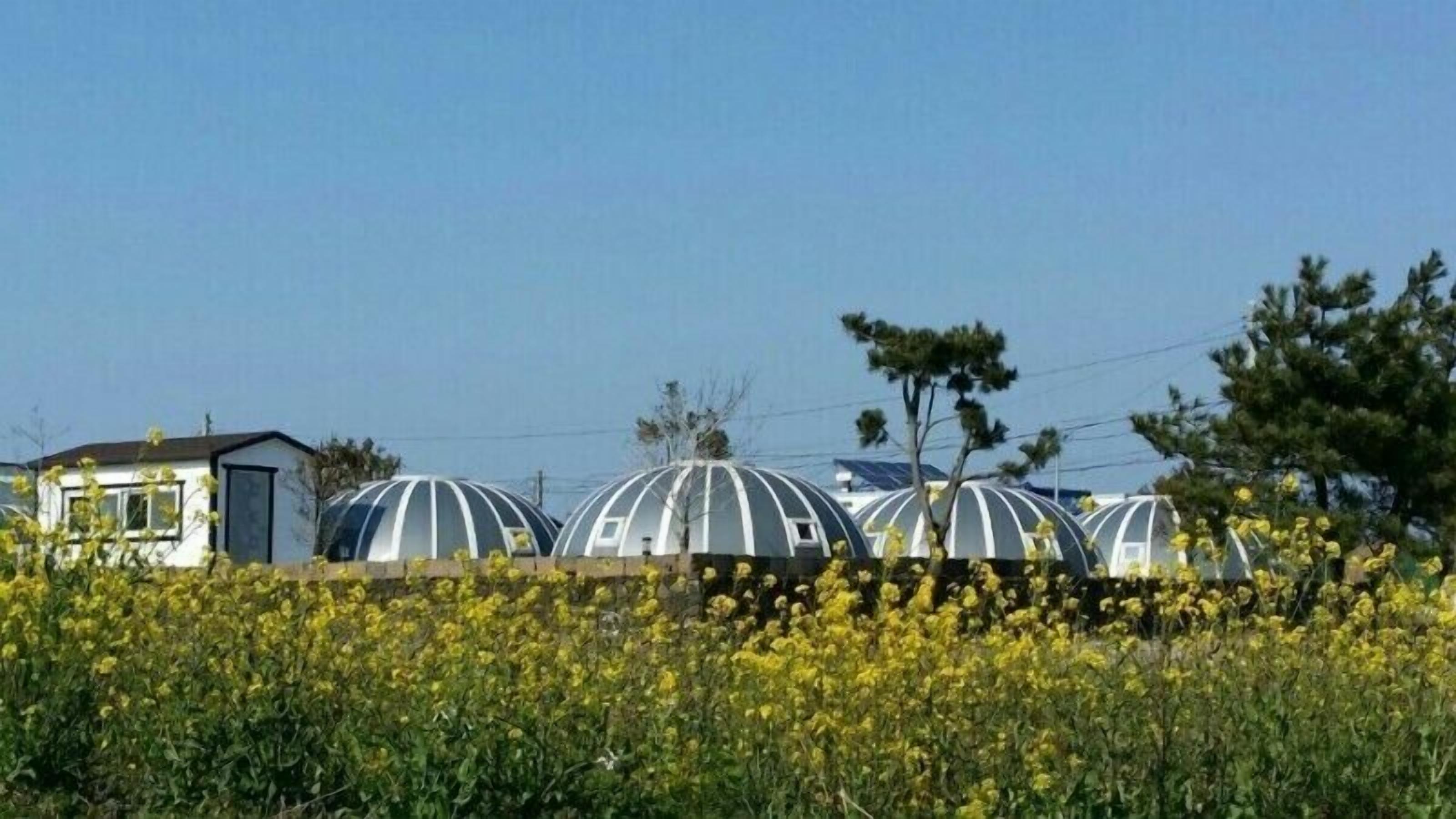 A row of dome-shaped structures with a small building adjacent to them.