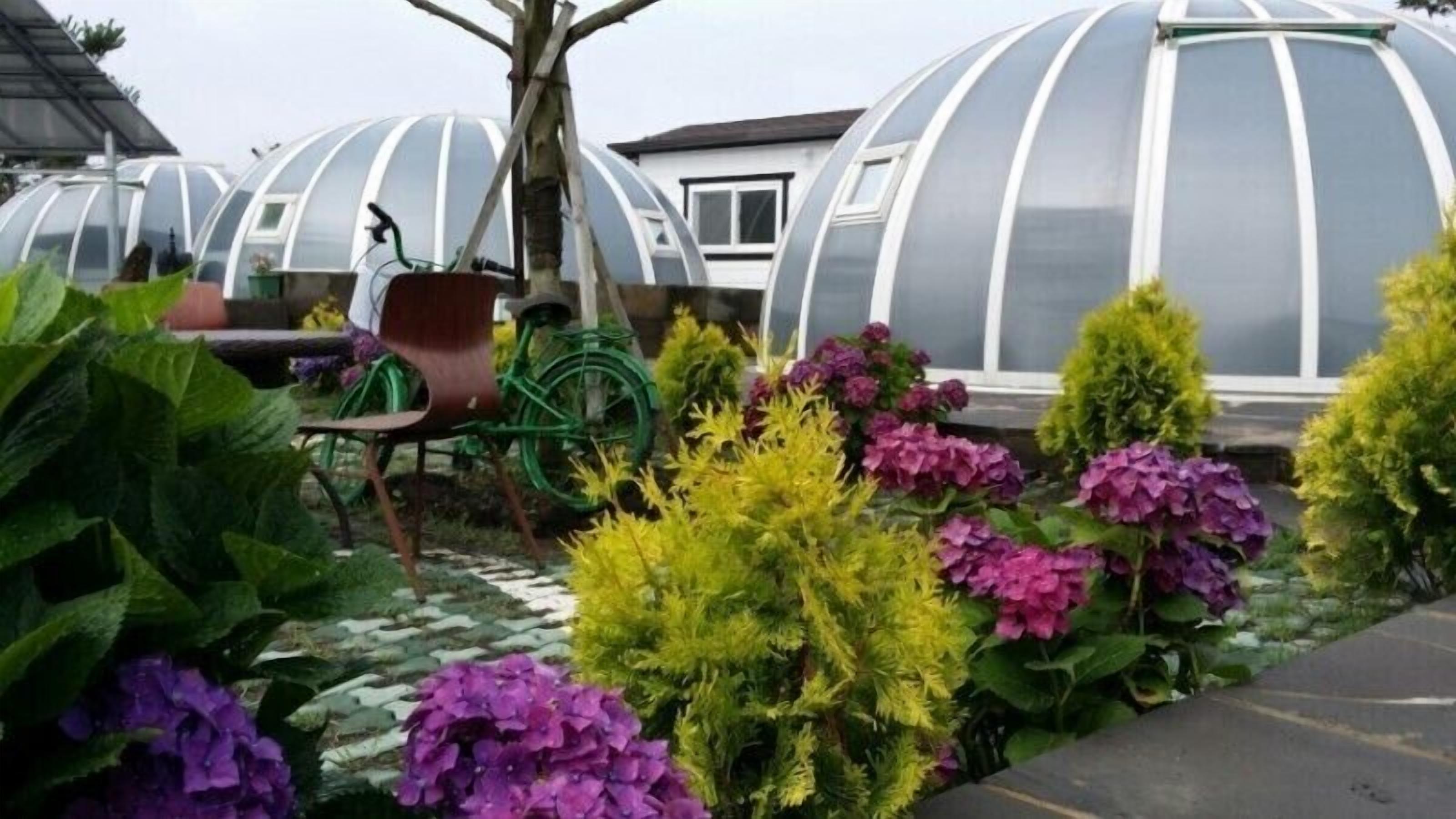 Un jardin agrémenté de plantes en pot et doté d’une serre.