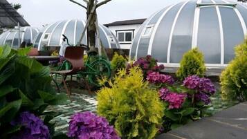 Un jardin agrémenté de plantes en pot et doté d’une serre.