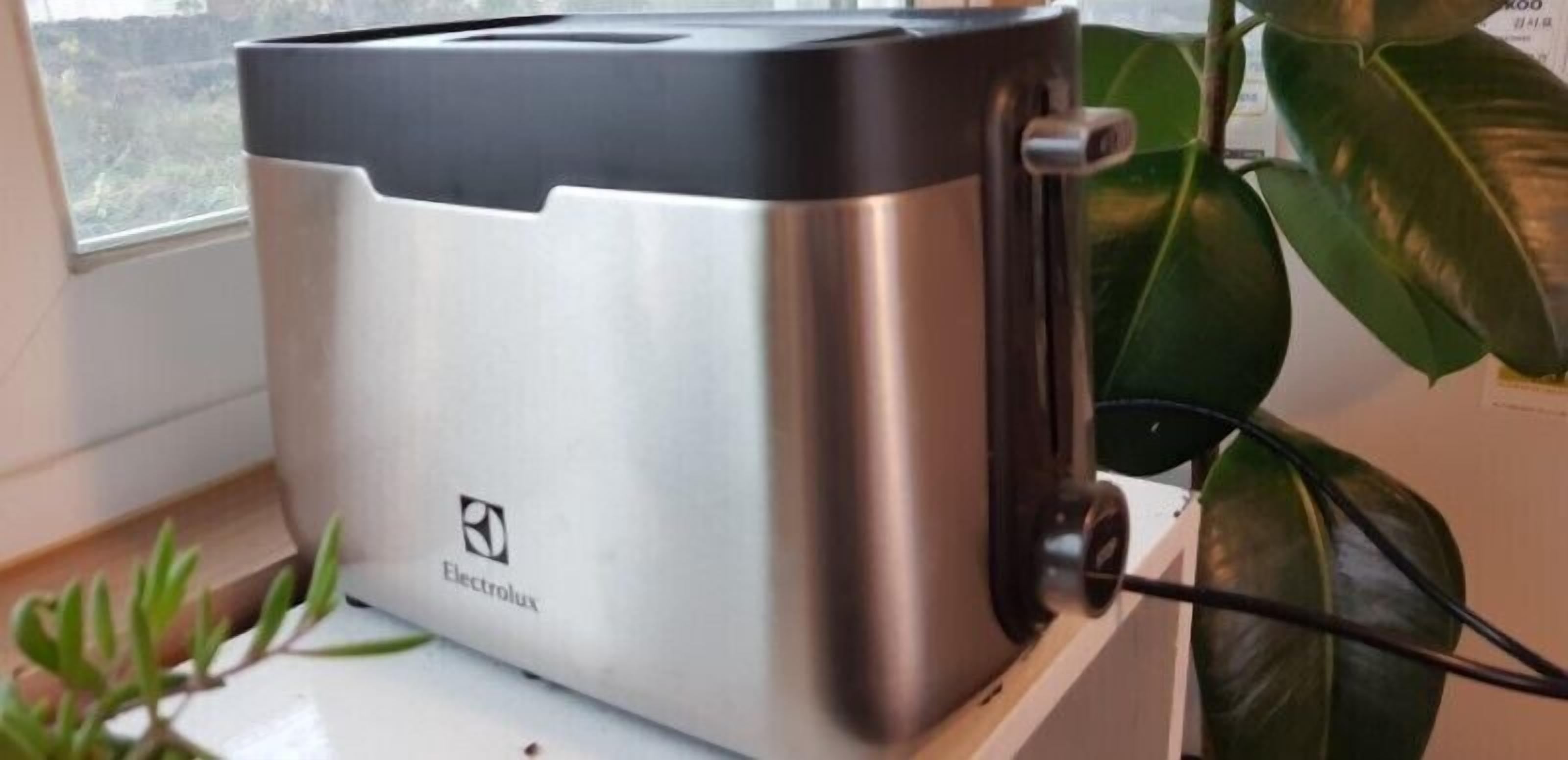 A toaster with a black top and a metallic body, placed on a white surface next to a green plant.