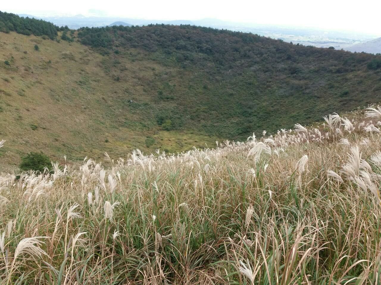 Un turó verd amb vista a muntanyes llunyanes.