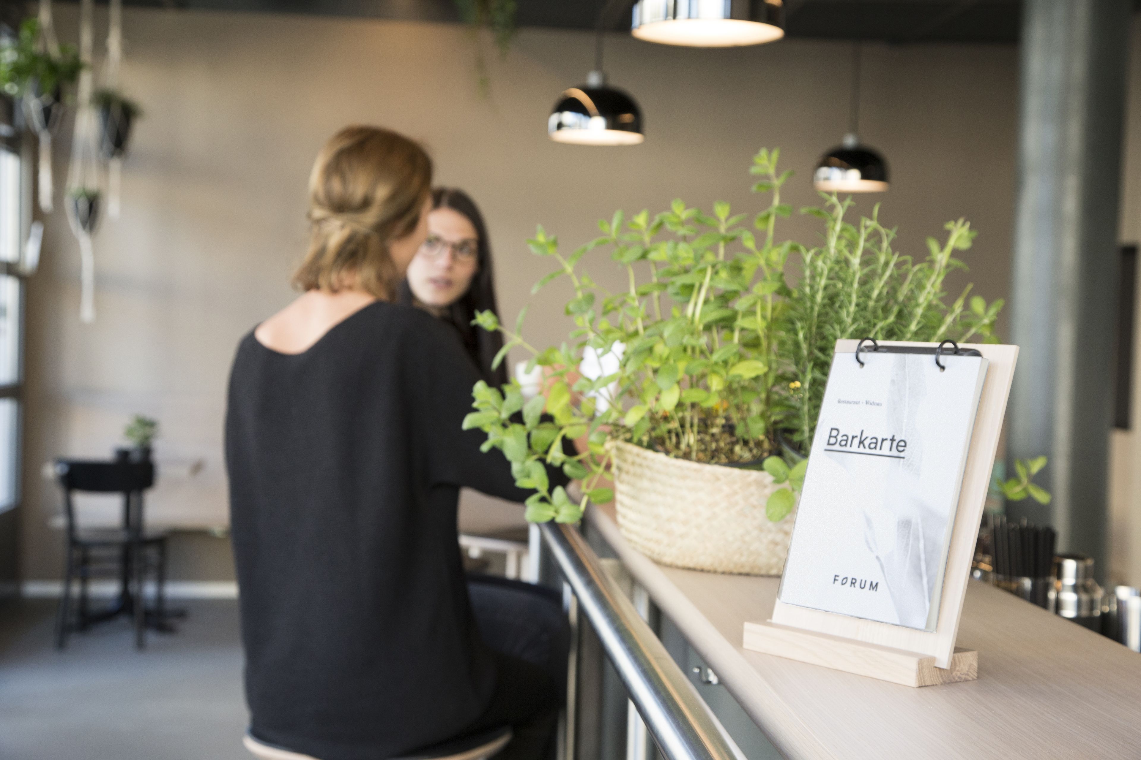 Un intérieur moderne avec un comptoir en bois, une plante en pot et une enseigne sur laquelle on peut lire « Barkarte ».