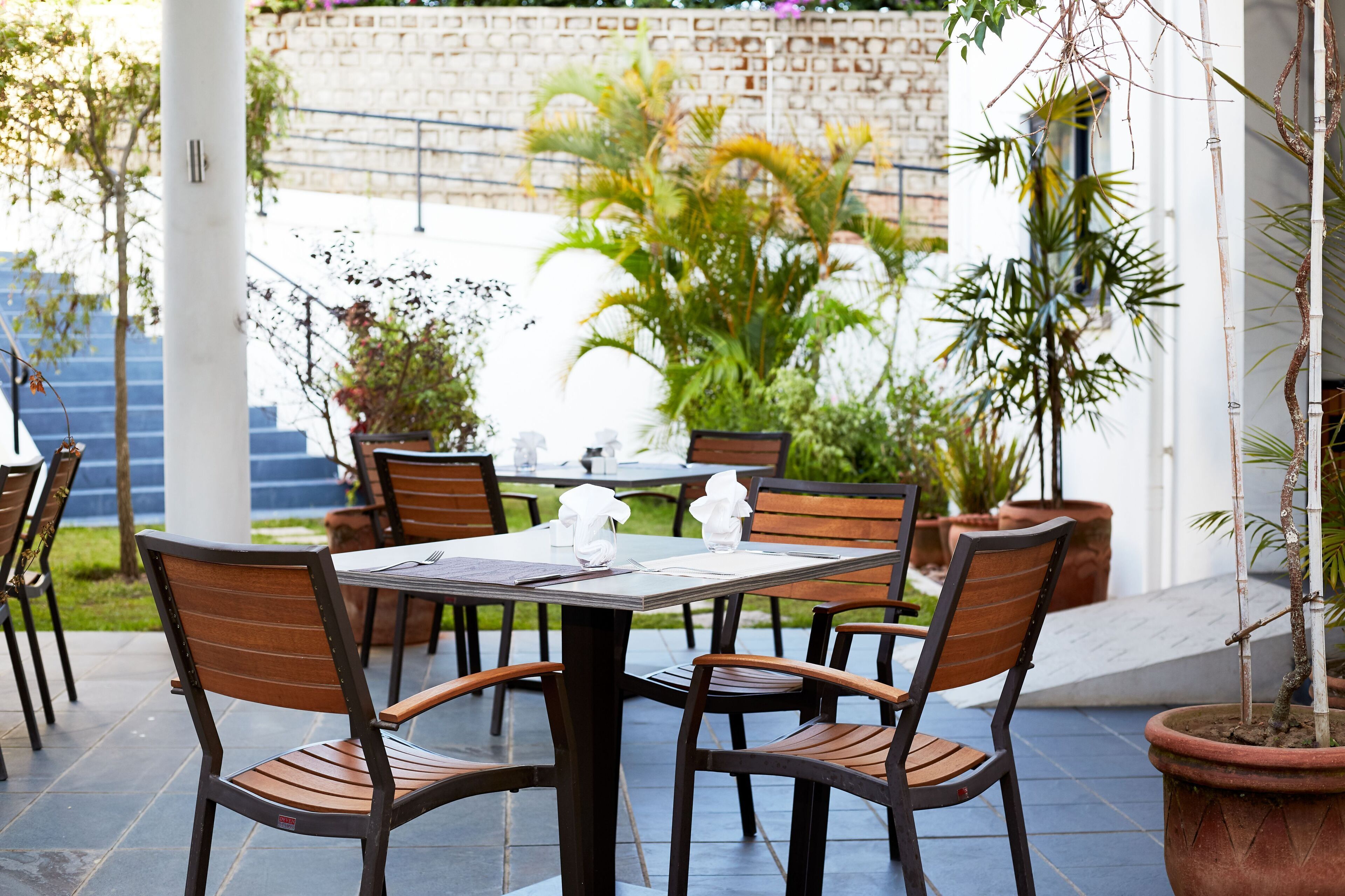 Un patio exterior con una mesa lista para comer, rodeado de sillas y plantas en macetas.