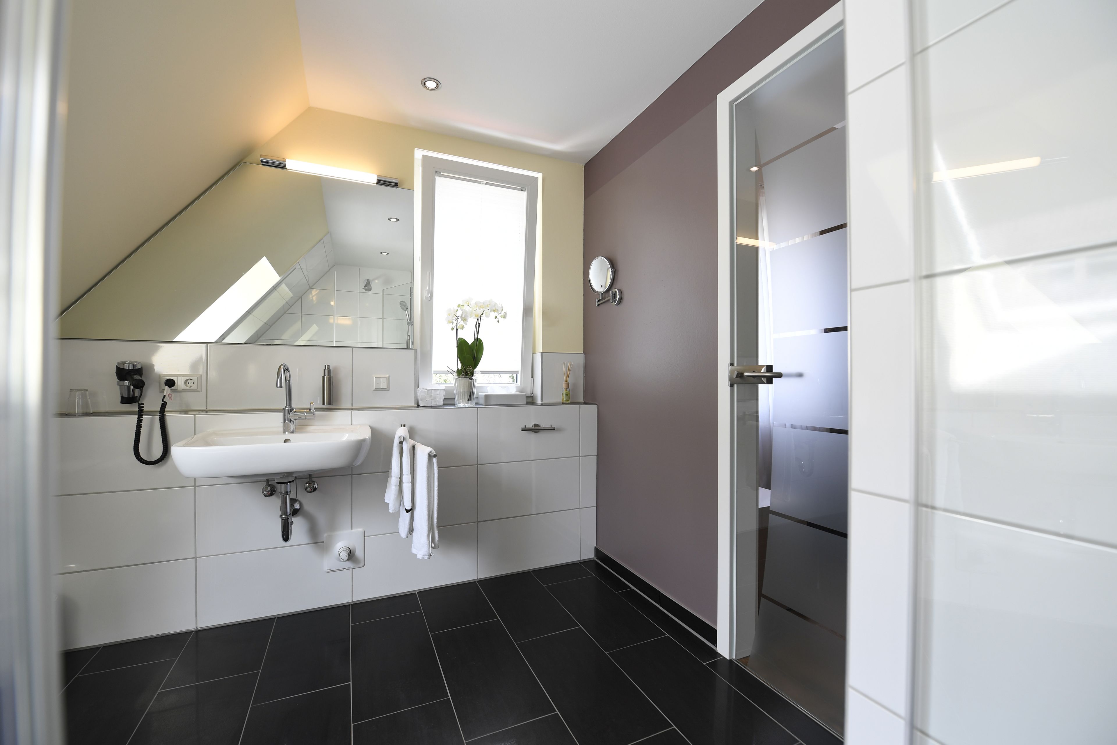 shower, free toiletries, hair dryer