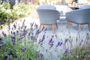 Terrace/patio - Hotel Marie (Skagen)