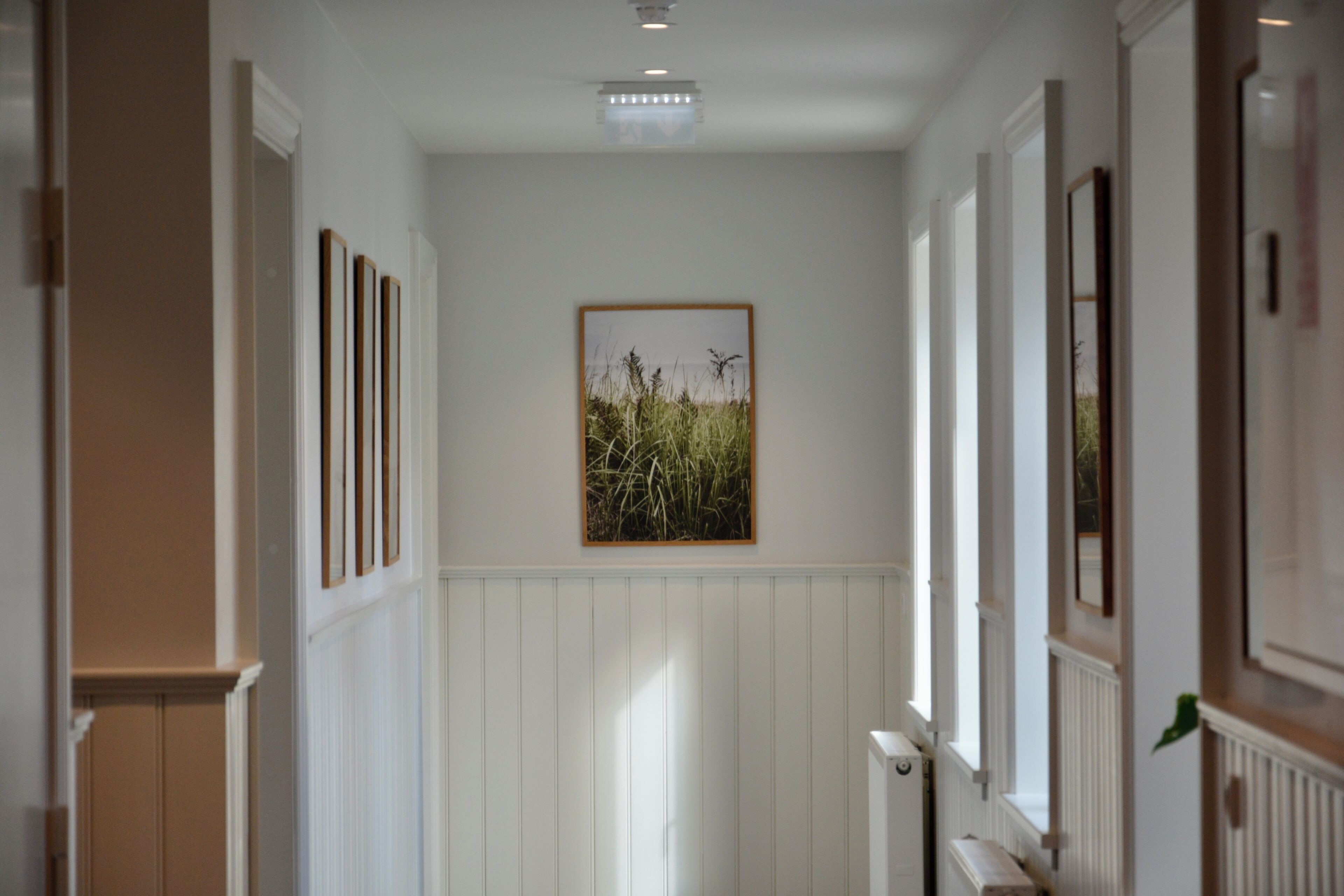 Passadís amb fusta decorativa blanca, un quadre amb herba alta i un radiador.