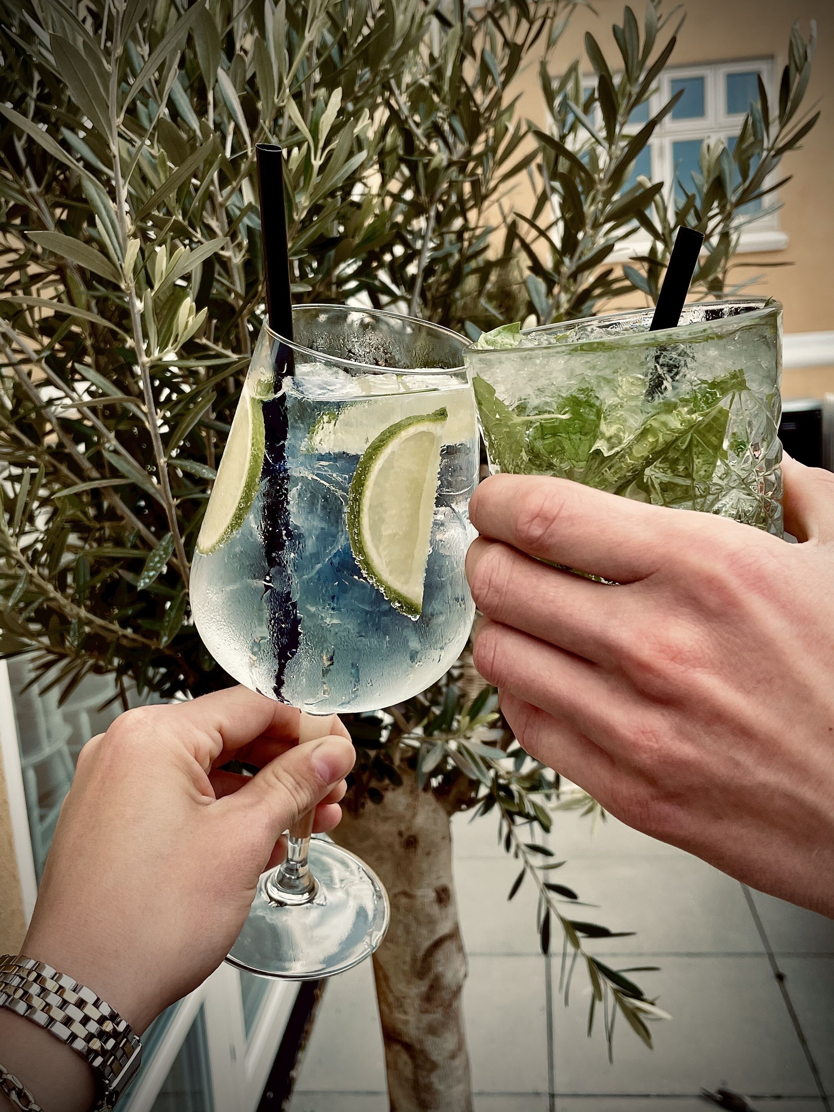 Two people holding glasses of a clear beverage with lime slices and mint leaves, with a tree in the background.