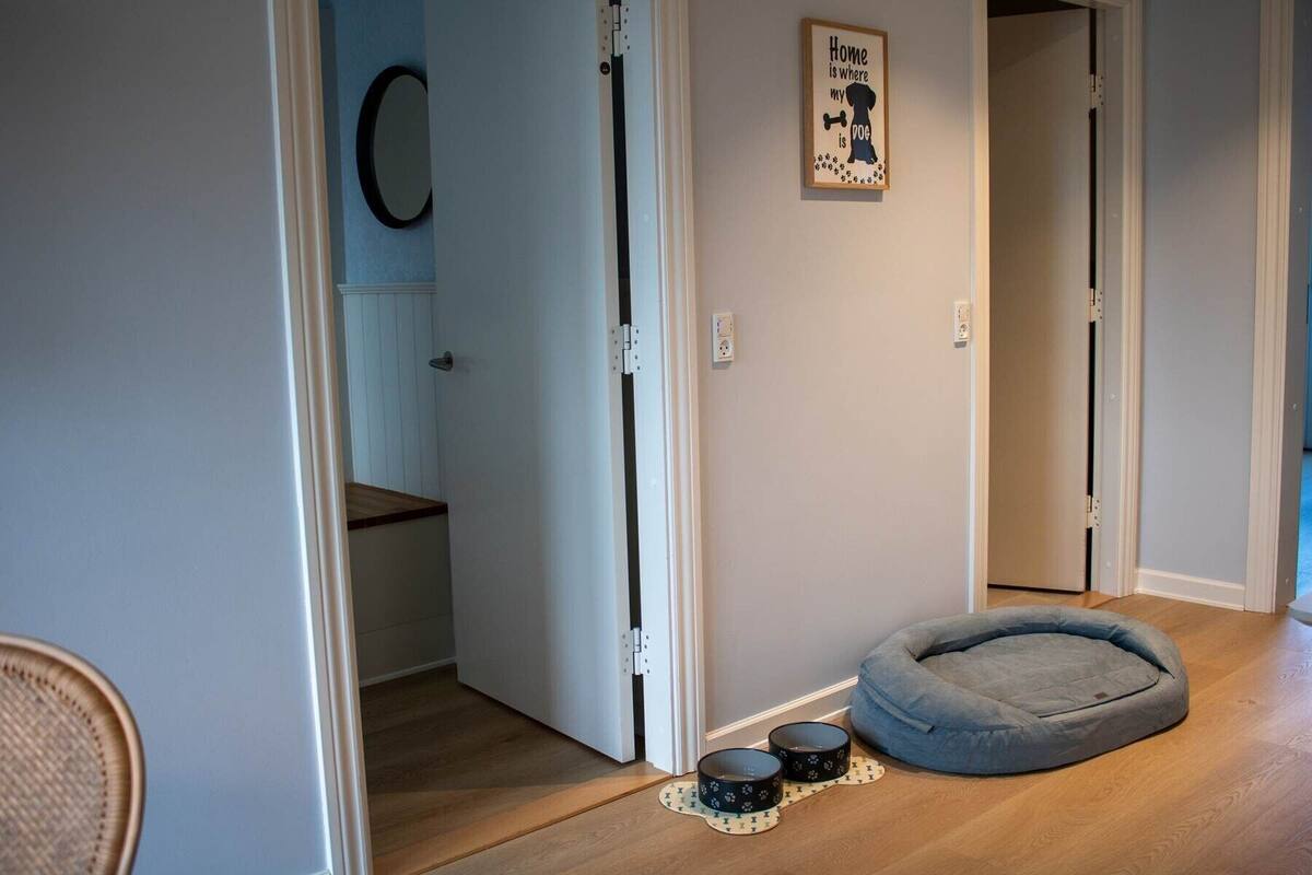 Un pasillo con una cama para perro y dos cuencos sobre una alfombra, una puerta con un espejo, y una cita enmarcada en la pared.