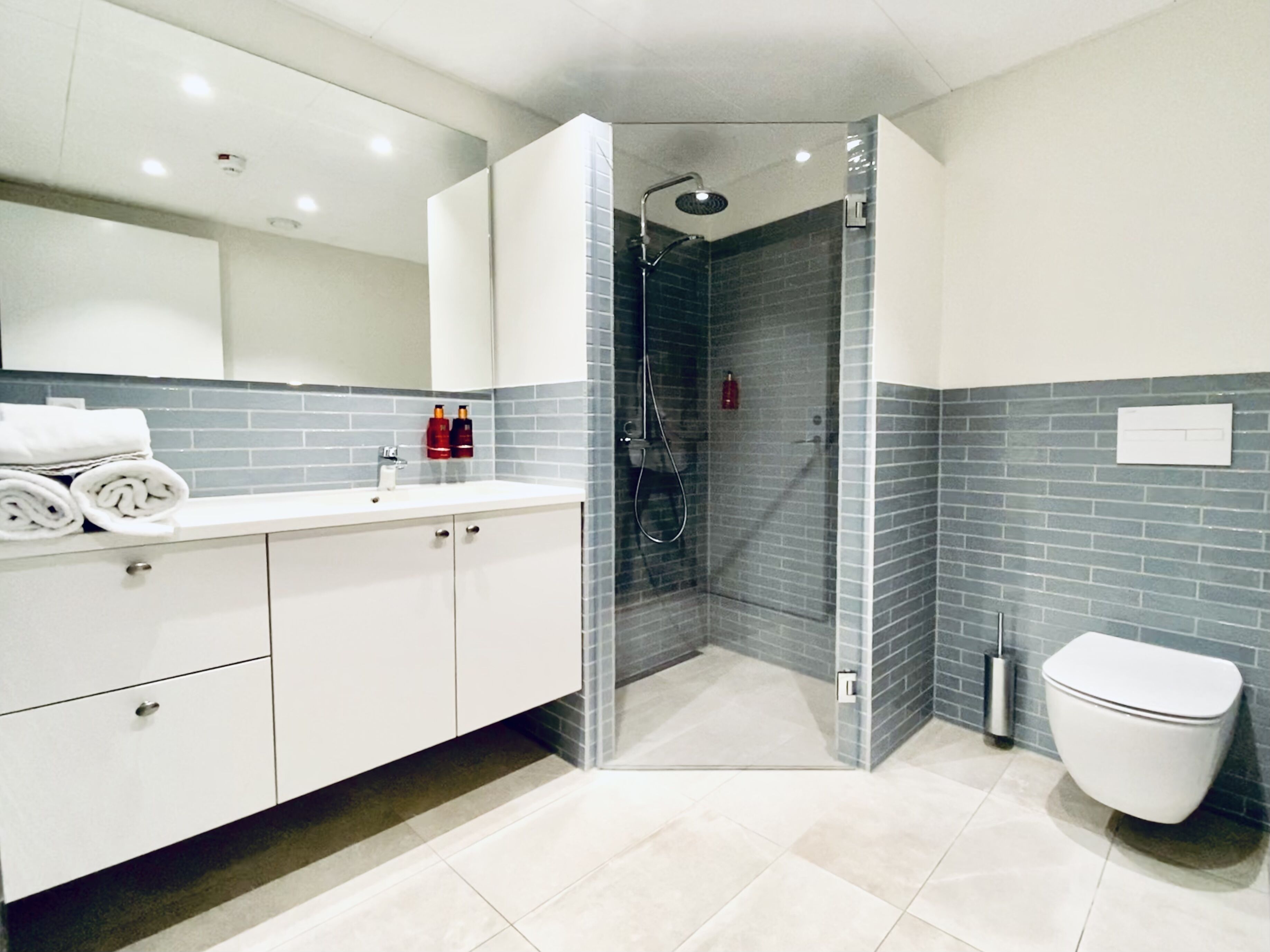 apartment, 2 bedrooms, kitchen | bathroom | shower, hair dryer, heated floors, towels