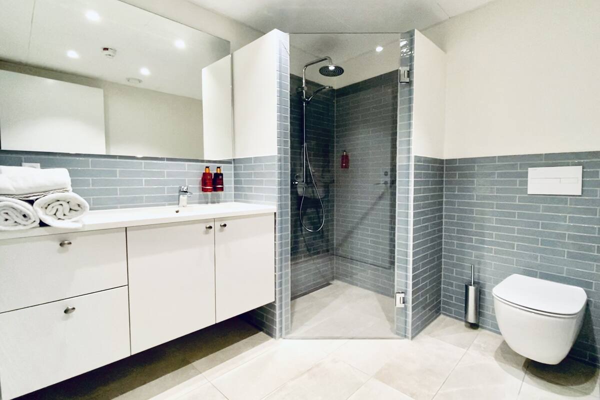 apartment, 2 bedrooms, kitchen | bathroom | shower, hair dryer, heated floors, towels