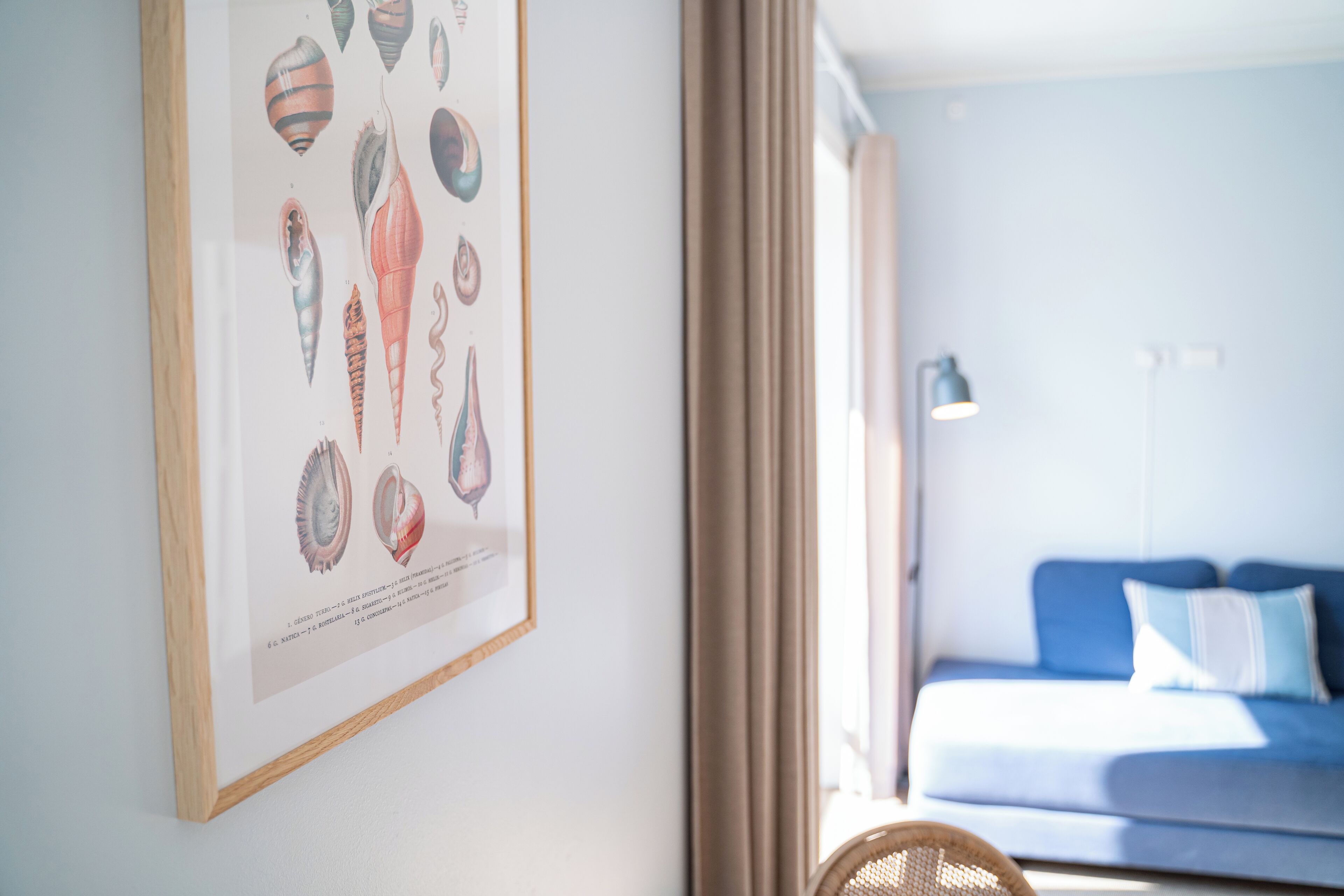 Una ilustración enmarcda de vida marina en una pared, una cama con cabecera azul y una ventana con cortinas.