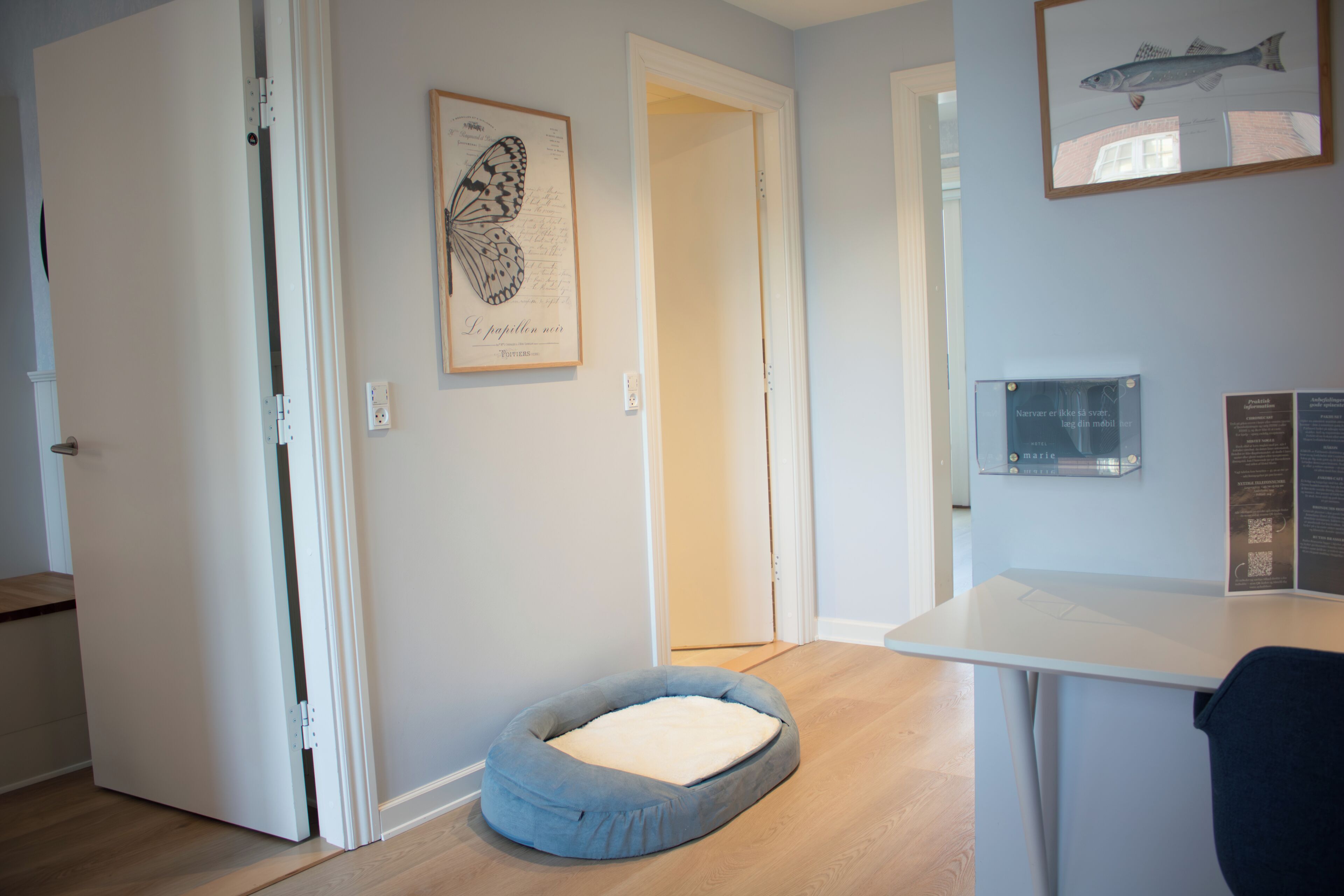 Une pièce avec un plancher en bois, un panier bleu pour animaux de compagnie, une table blanche et une illustration encadrée de papillons accrochée au mur.