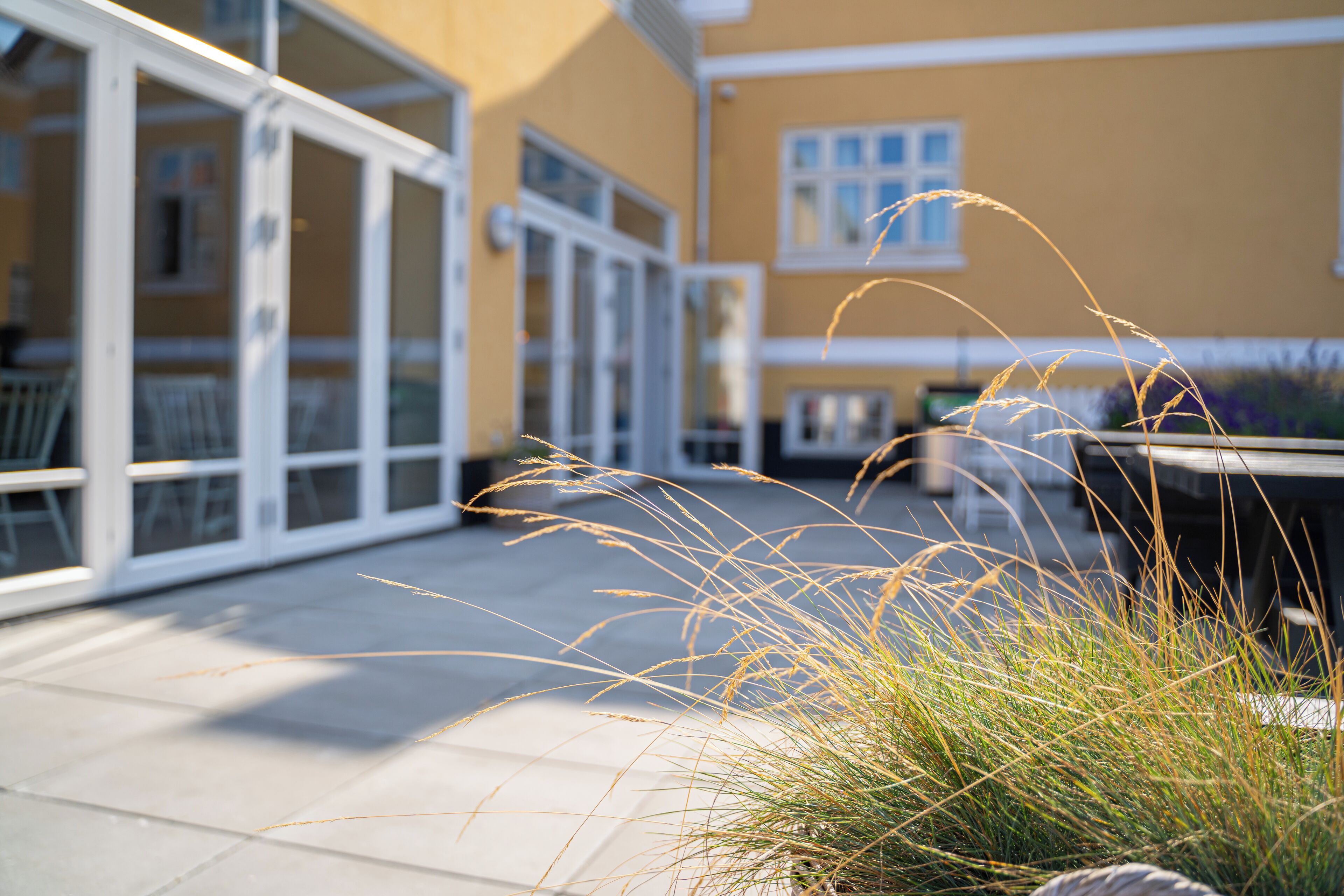 A building exterior with large glass doors, a paved patio, and some grass in the foreground.