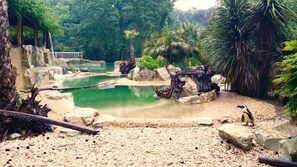 Point of interest - Agriturismo I Pitti (Serravalle Pistoiese)