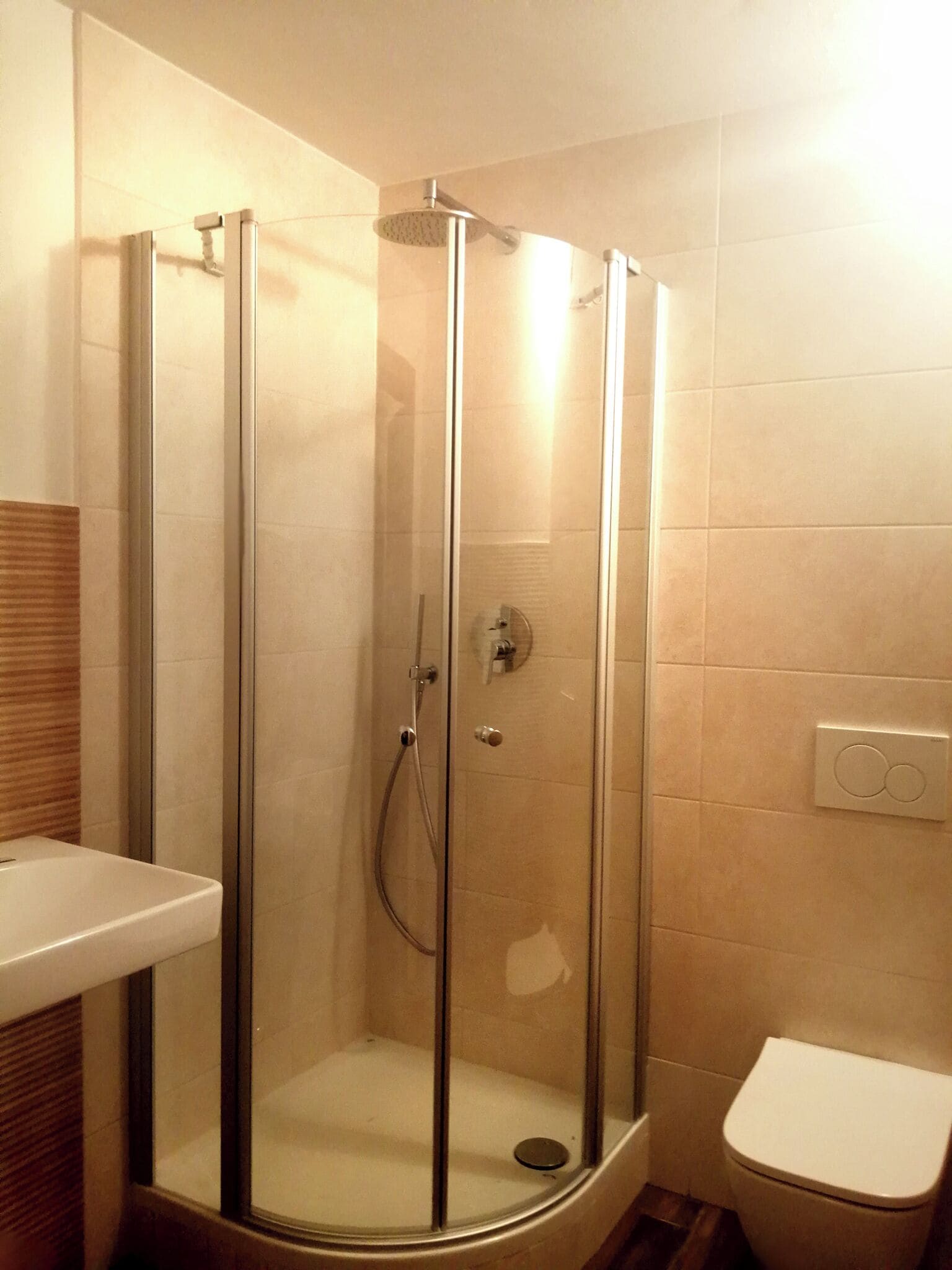 A glass-enclosed shower stall with a handheld showerhead, a toilet, and a wall-mounted light fixture.