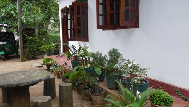 A courtyard with potted plants arranged along a wall, a stone table, and a green vehicle parked nearby. - Mango House (Talalla)