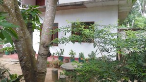 A courtyard with a white building, potted plants, and a tree. - Mango House (Talalla)