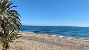 A beach with a palm tree and clear blue sky.