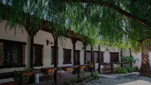 Un patio con zona de estar cubierta, una palmera y un camino de grava.