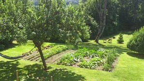 Een tuin met bomen, een hangmat en een kleine zithoek.