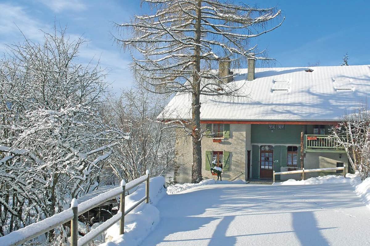 A snow-covered building with a wooden fence, a snow-covered driveway, and snow-laden trees.