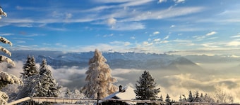 Hotel Bergsonne Rigi  