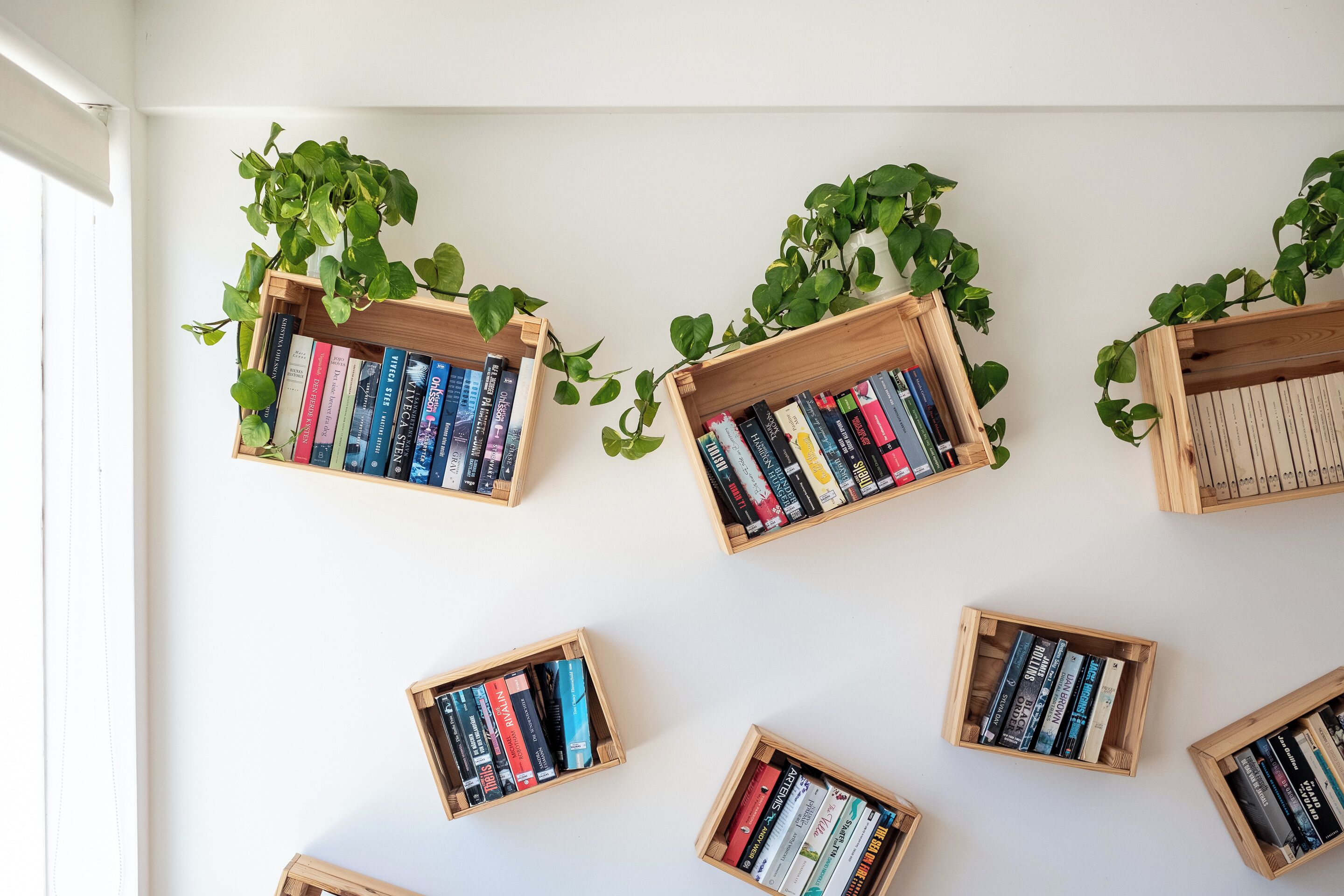 A wall with multiple wooden bookshelves, some with plants, containing books.