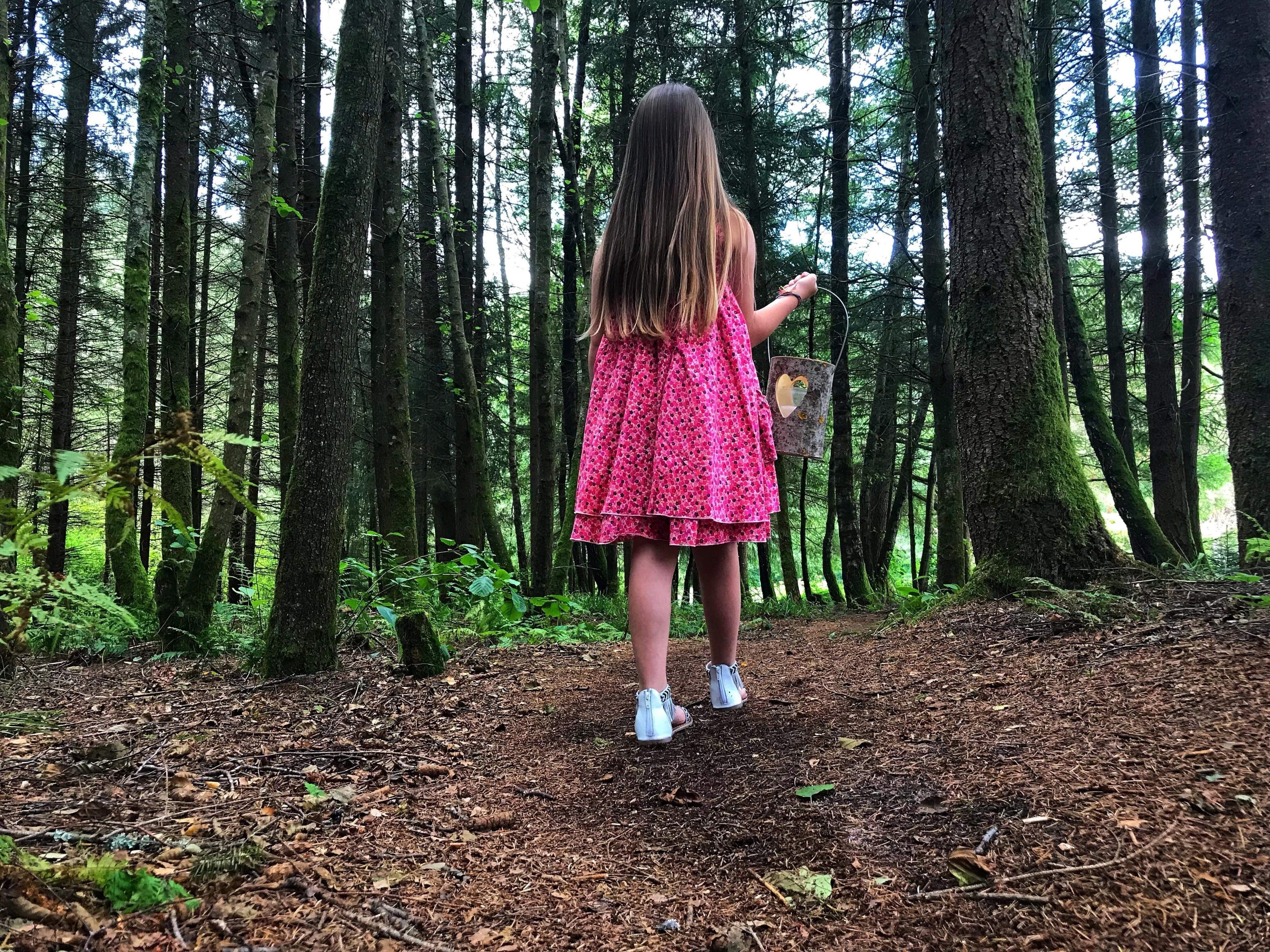 Un bosque con una persona parada en un sendero.