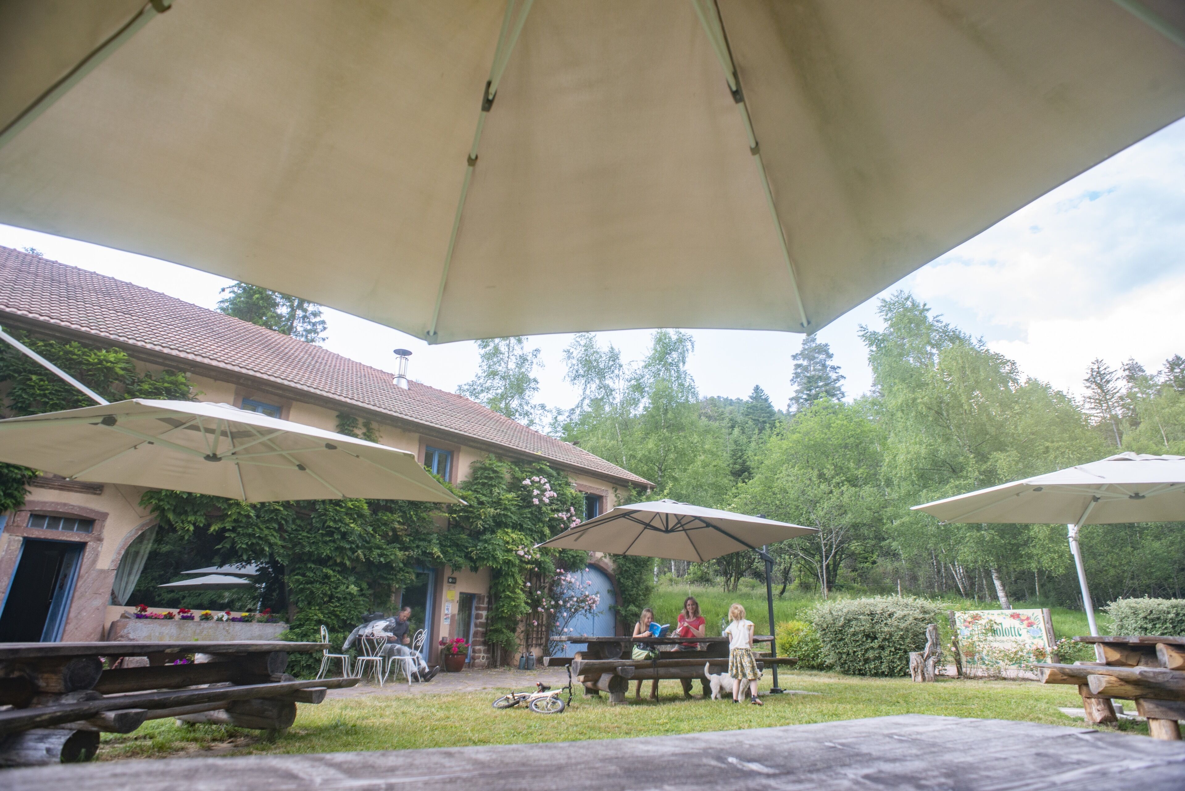 Ein Garten mit Terrassenmöbeln unter großen Sonnenschirmen, umgeben von Grünpflanzen und einem Gebäude mit Ziegeldach.