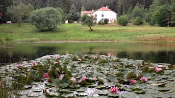 Vue sur la campagne depuis l’hébergement