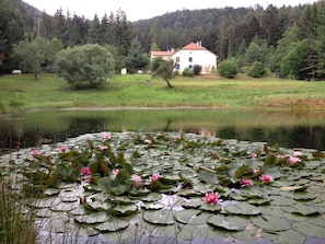 Land view from property - Auberge de la Cholotte (Les Rouges-Eaux)