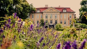 A large, classical building with a symmetrical facade and a red roof, surrounded by lush greenery and purple flowers. - Schloss Stülpe (Nuthe-Urstromtal)