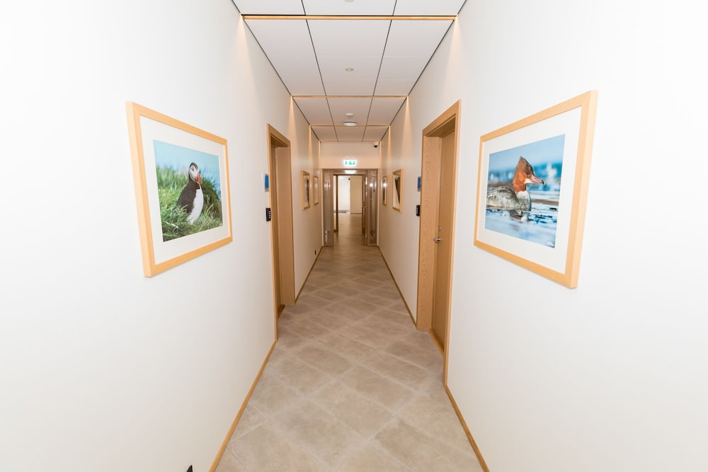 Hrímland Apartments photo 2