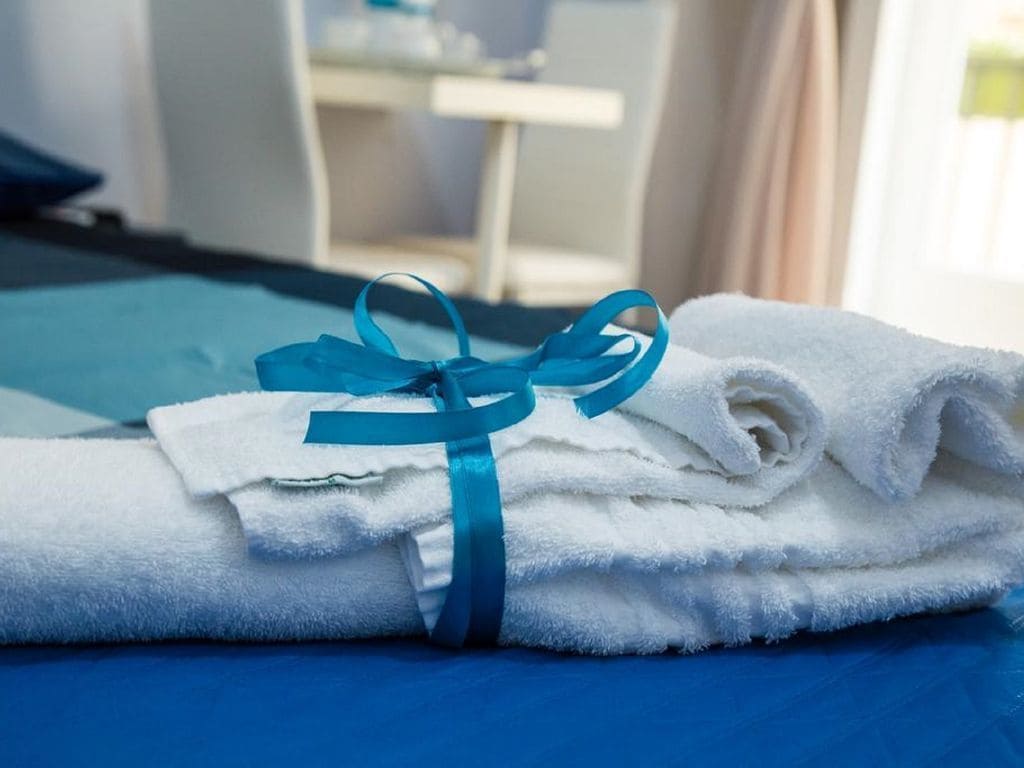 Classic Double or Twin Room, Balcony (Van Gogh) | Room amenity