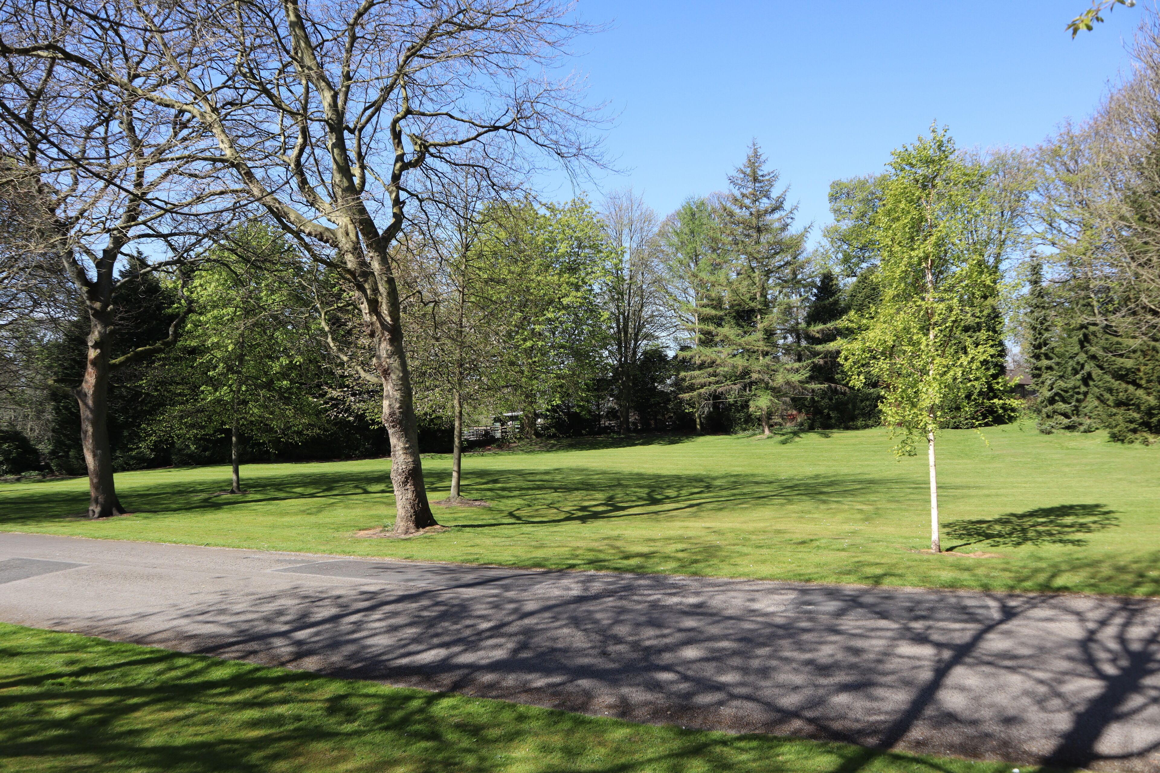 Un parco con un percorso lastricato, zone verdi e alberi.