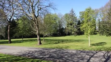 Een park met een verhard pad, grasvelden en bomen.