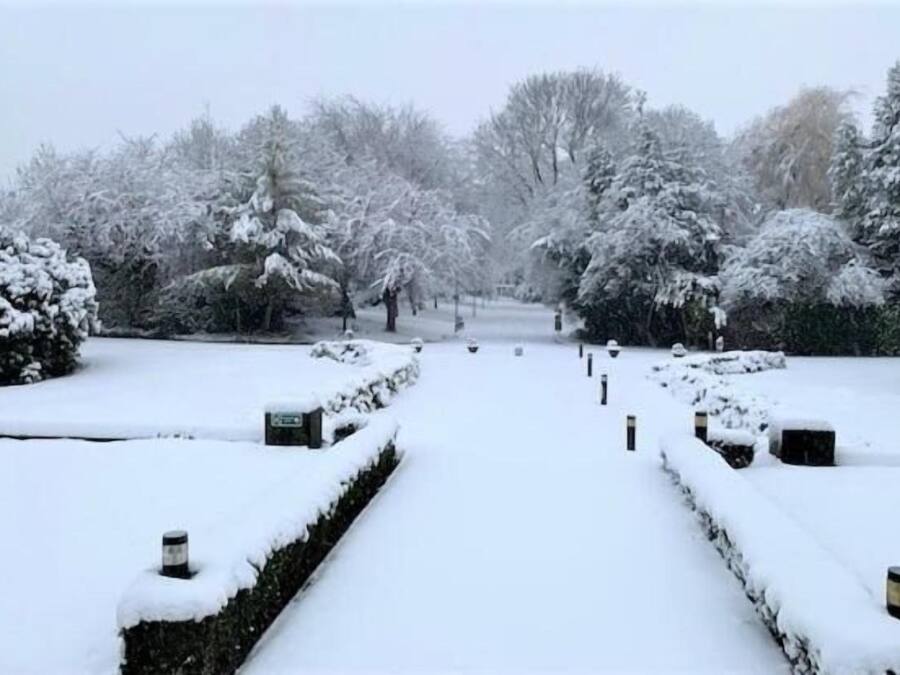 A snow-covered pathway leading through a park with trees and hedges.