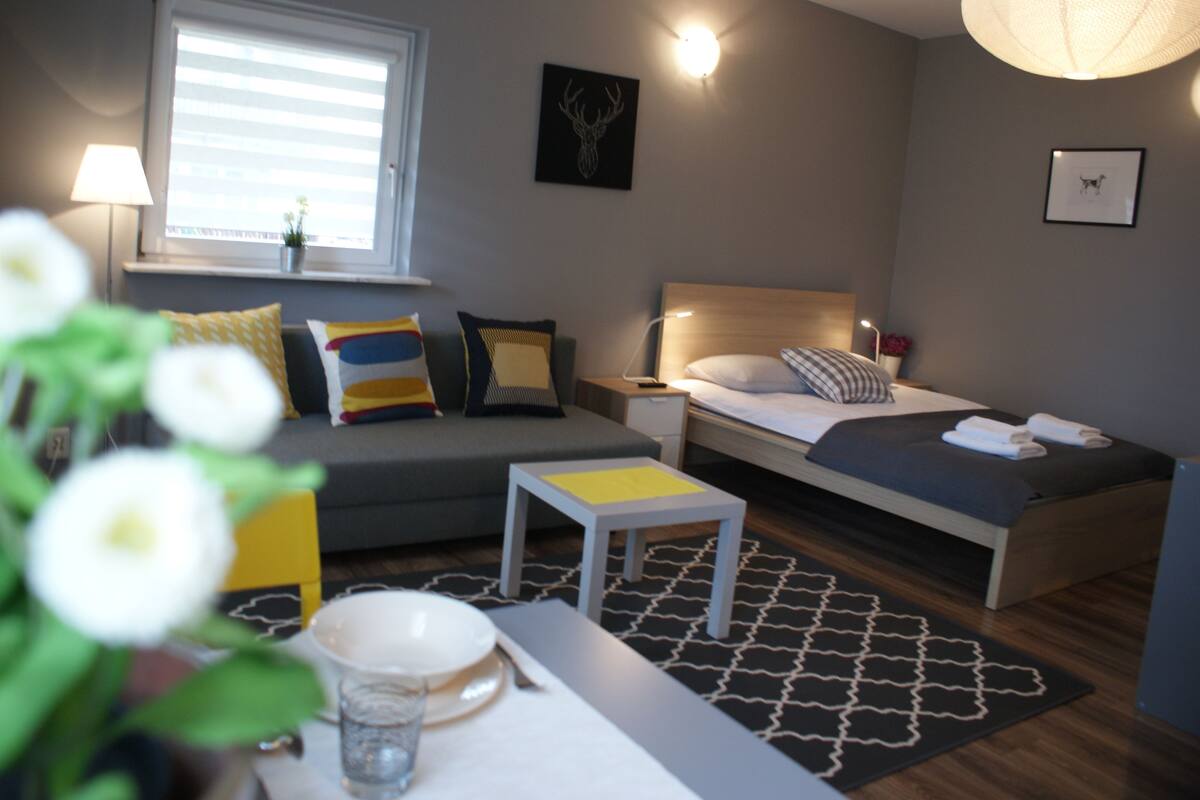 Studio Suite (3) | Blackout drapes, iron/ironing board, cribs (free), WiFi (free)