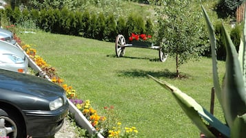 Jardín