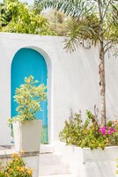 Un edificio blanco con una puerta azul y un árbol delante.