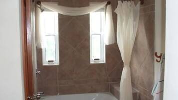 Combined shower/bathtub, free toiletries, hair dryer, towels