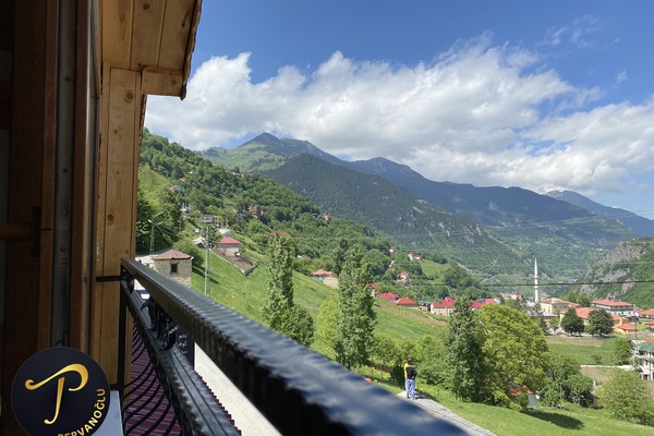 Brankas, didekorasi berbeda-beda, kedap suara, dan setrika/meja setrika