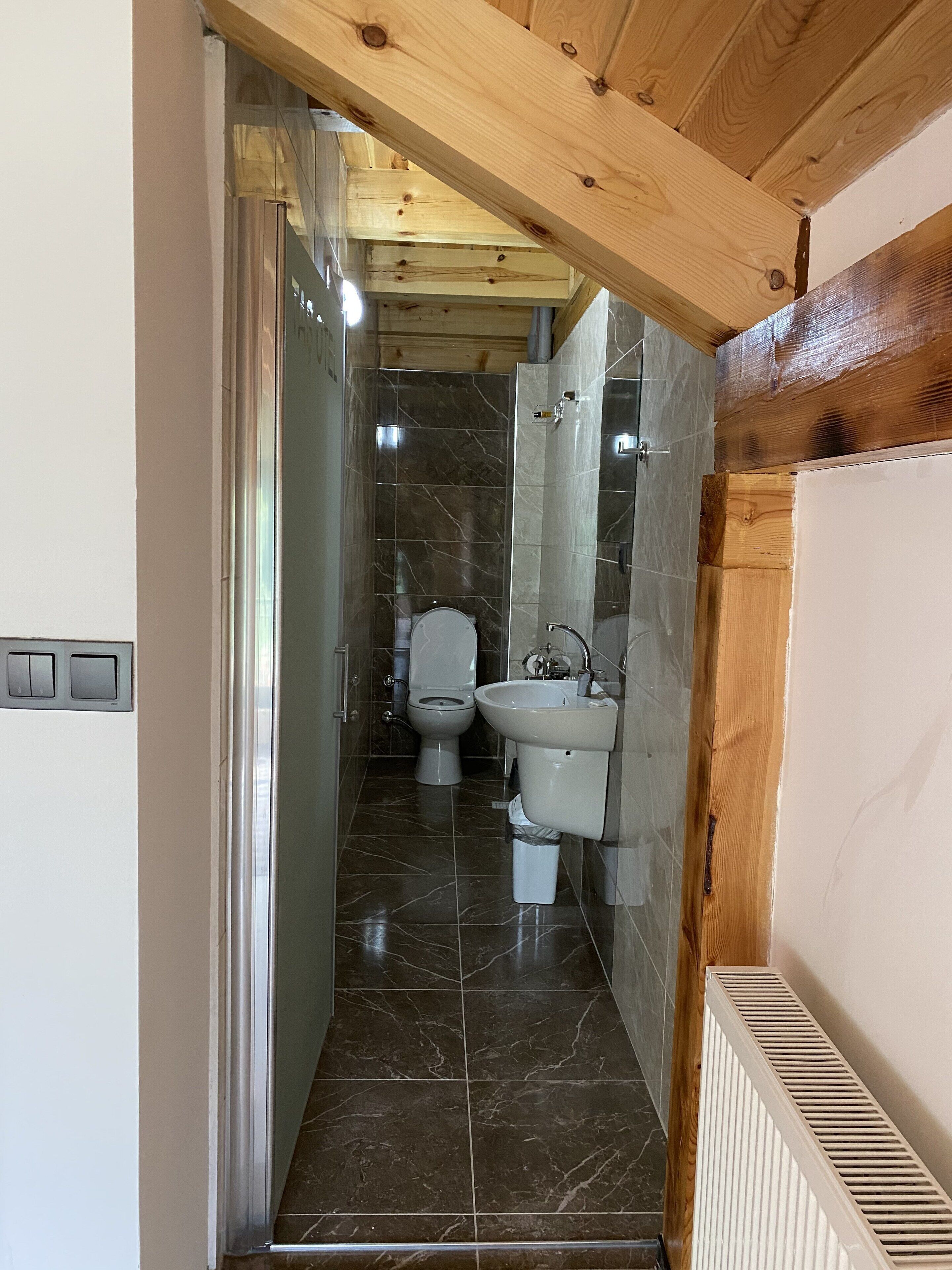 economy double room | bathroom | shower, free toiletries, hair dryer, slippers