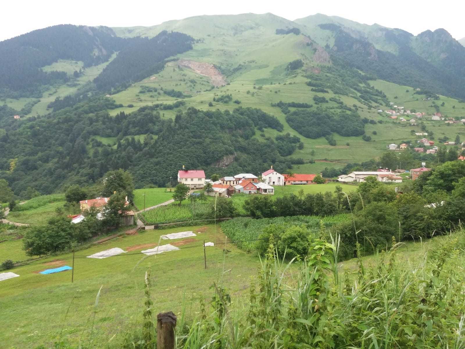 A rural village with houses on a hillside, surrounded by green fields and mountains.