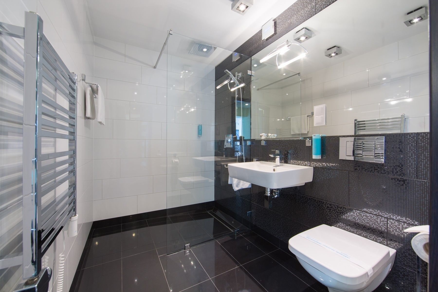 superior apartment, lake view (terrace 30m²) | bathroom | shower, rainfall showerhead, free toiletries, hair dryer