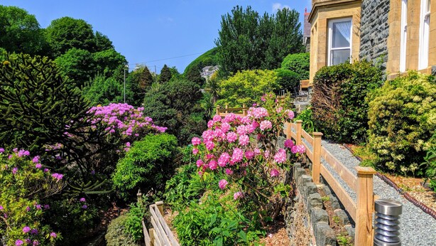 Un jardin avec des fleurs roses et un chemin pavé de pierres.