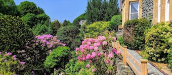 High View House