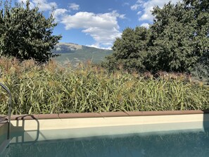 Seasonal outdoor pool - Casa Fisolare (Capestrano)