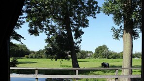 A wooden deck overlooking a grassy field with a pond and trees. - Rijnhoeve (Koudekerk aan den Rijn)
